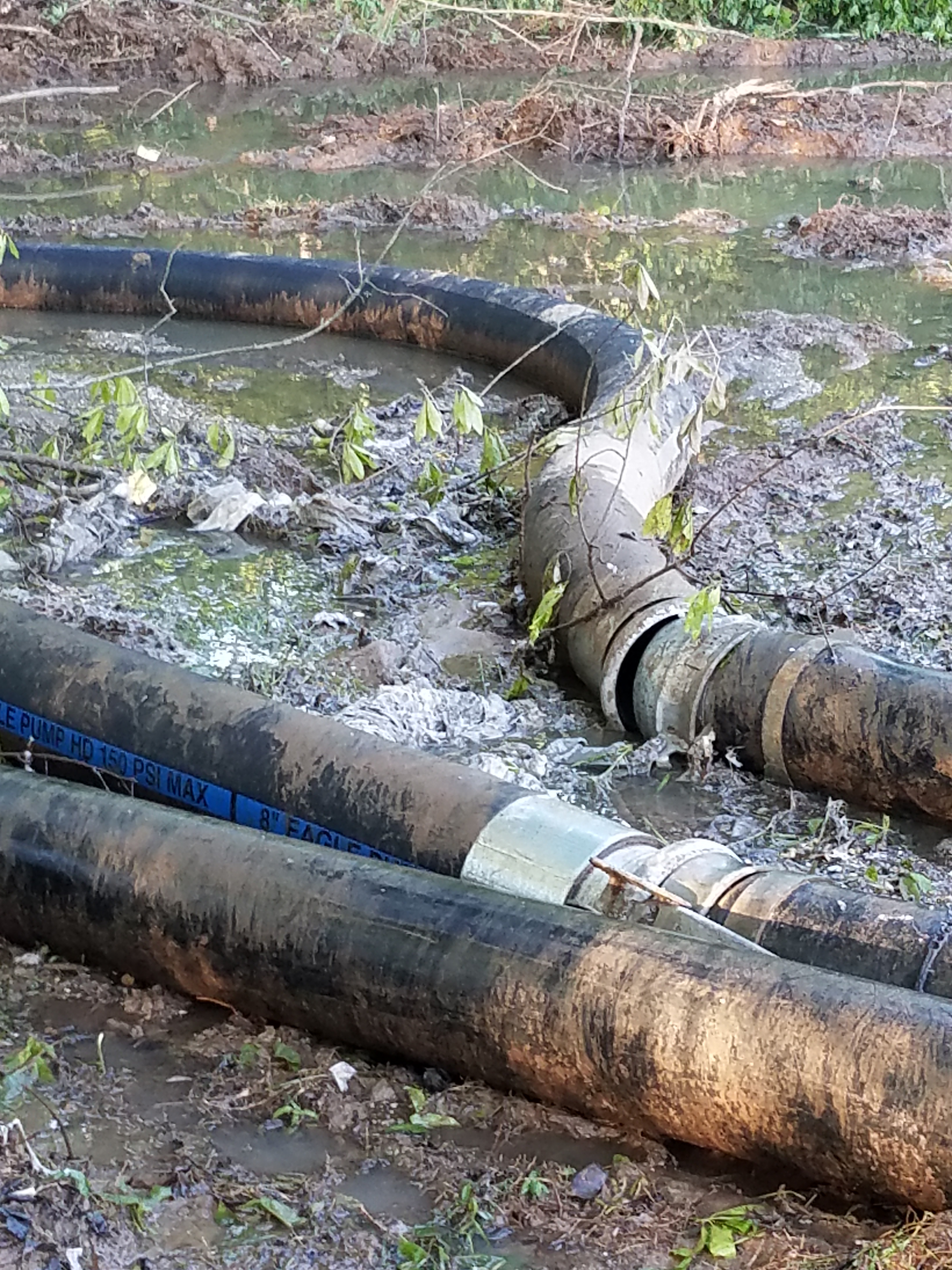 3 flexible black rubber pipelines lay in the mud after a flooding event has receded