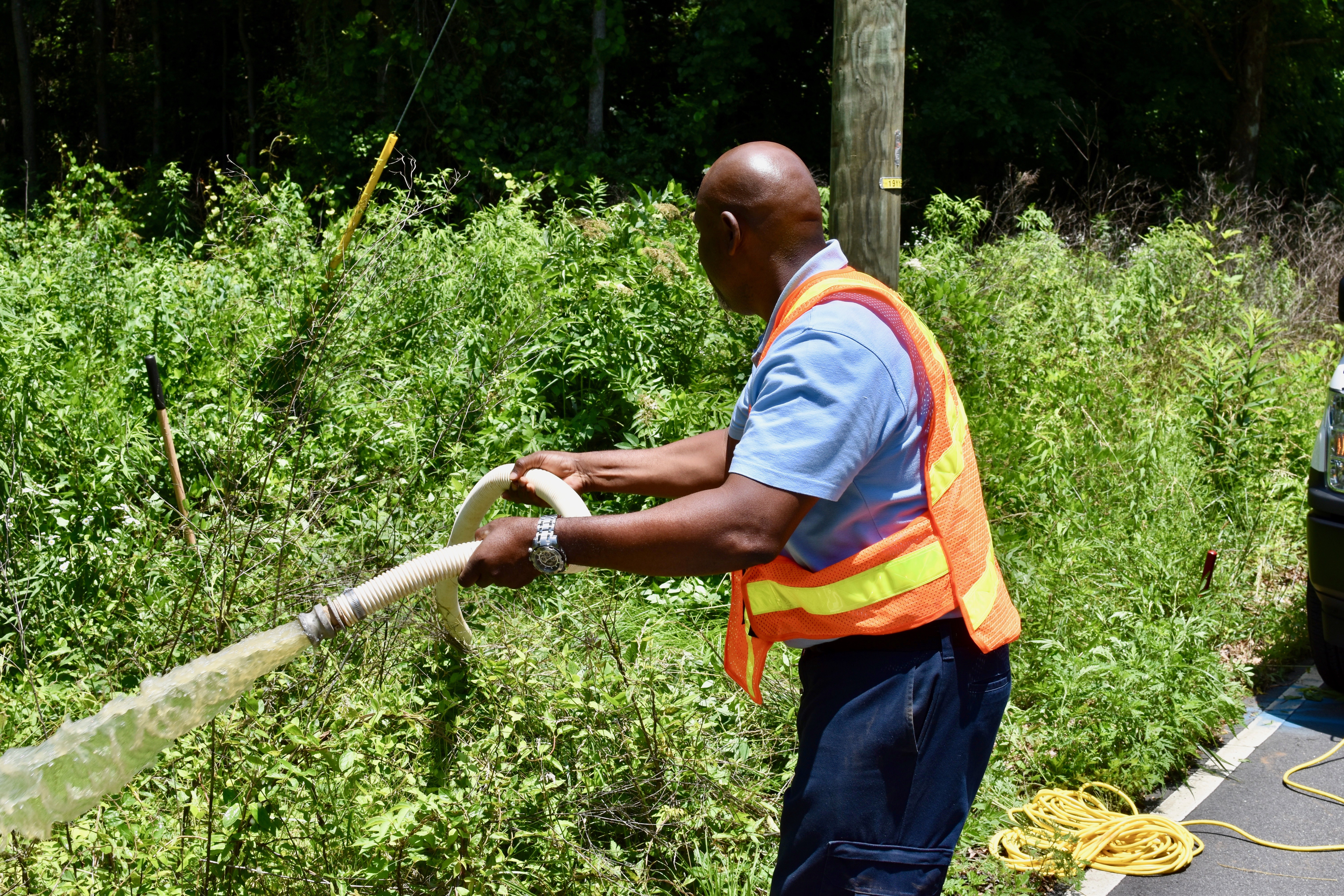 utility technician wearing orange safety vest pulls a white sump-pump hose through tall green weeds pointing the water to pour out onto the ground on his left