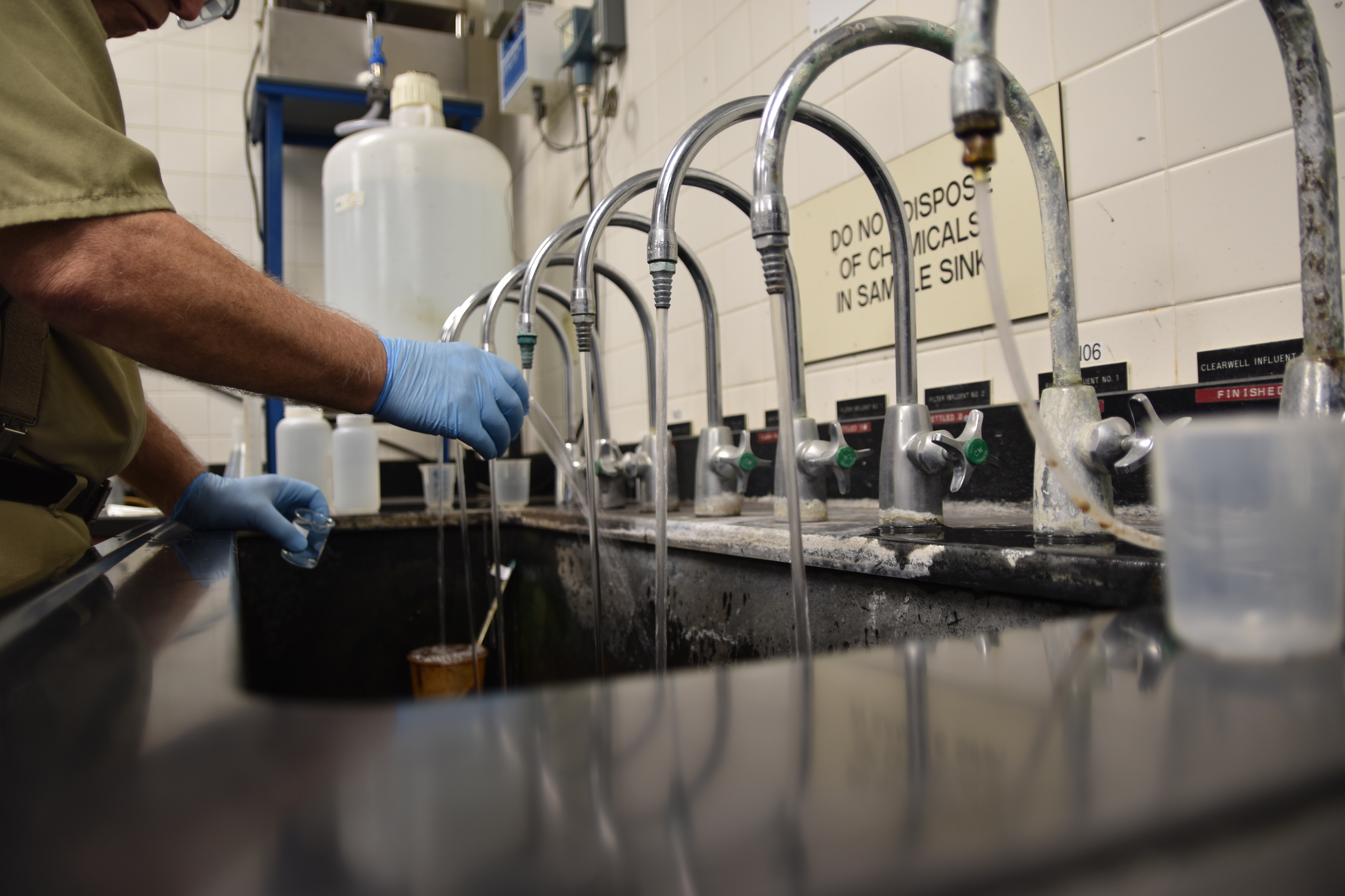 against backdrop of a row of hook-shaped, stainless steel faucets, a blue gloved hand fills a small specimen cup