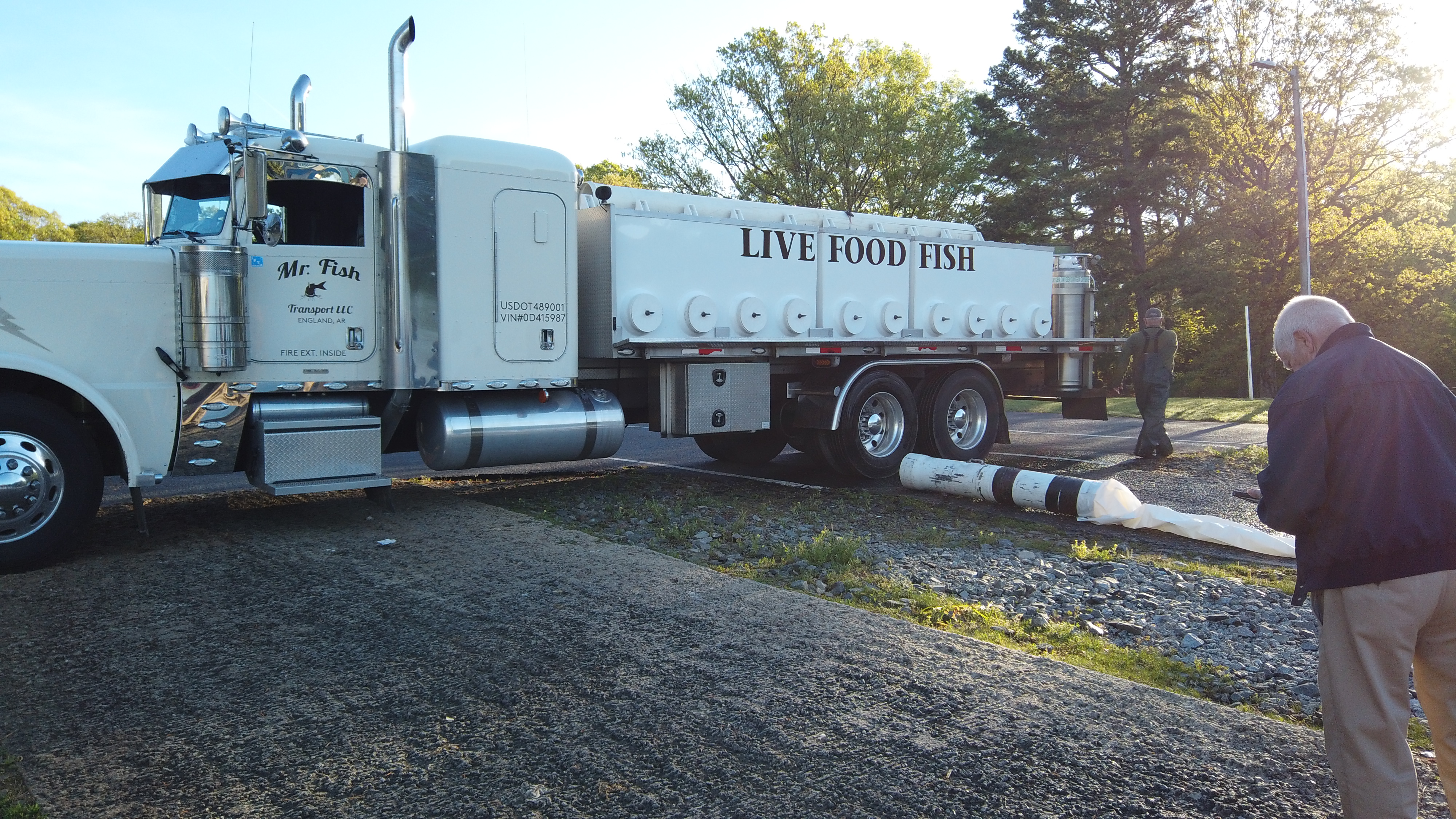 white tanker truck in a parking area with black lettering Live Food Fish, hooked up to the truck is a white pvc pipe and collapsible white hose