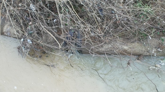 partially visible under weeds is a broken joint between 2 steel wastewater pipes as they lay revealed by the erosion of dirt along the bank of a muddy stream