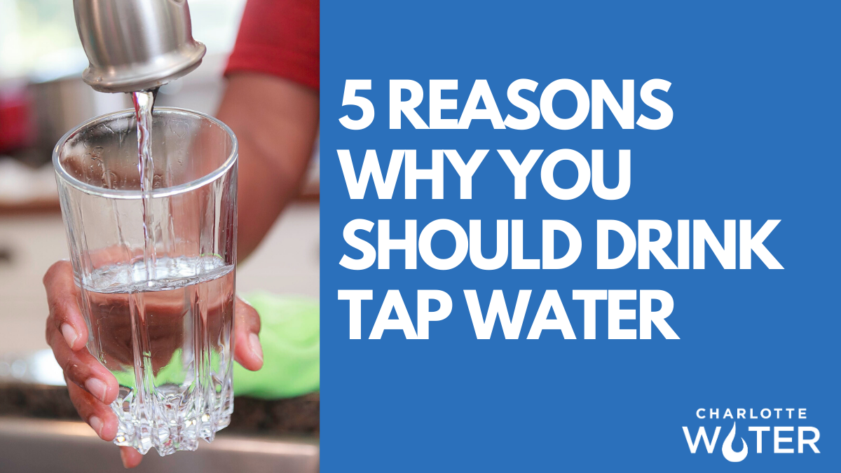 Poster with 2 sections, on left is a photo of a hand holding a glass filling it with water from a pewter kitchen faucet. On the right is a blue field with large what cap font letters, 5 Reasons Why You Should Drink Tap Water. The logo in white font for Charlotte Water appears at bottom right corner.