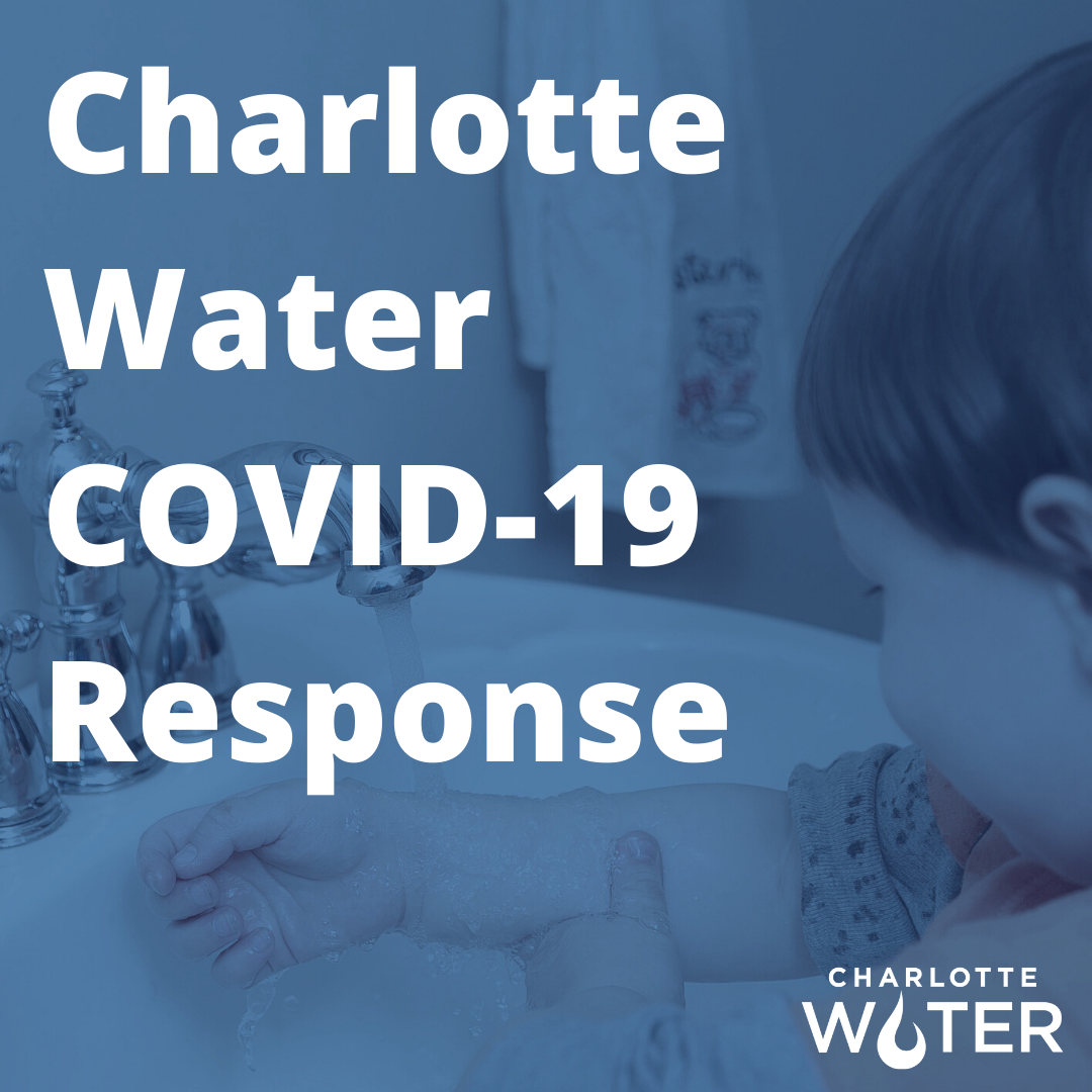 square blue report cover page with white font title, Charlotte Water Covid-19 Response, Charlotte Water logo in white font appears bottom right corner