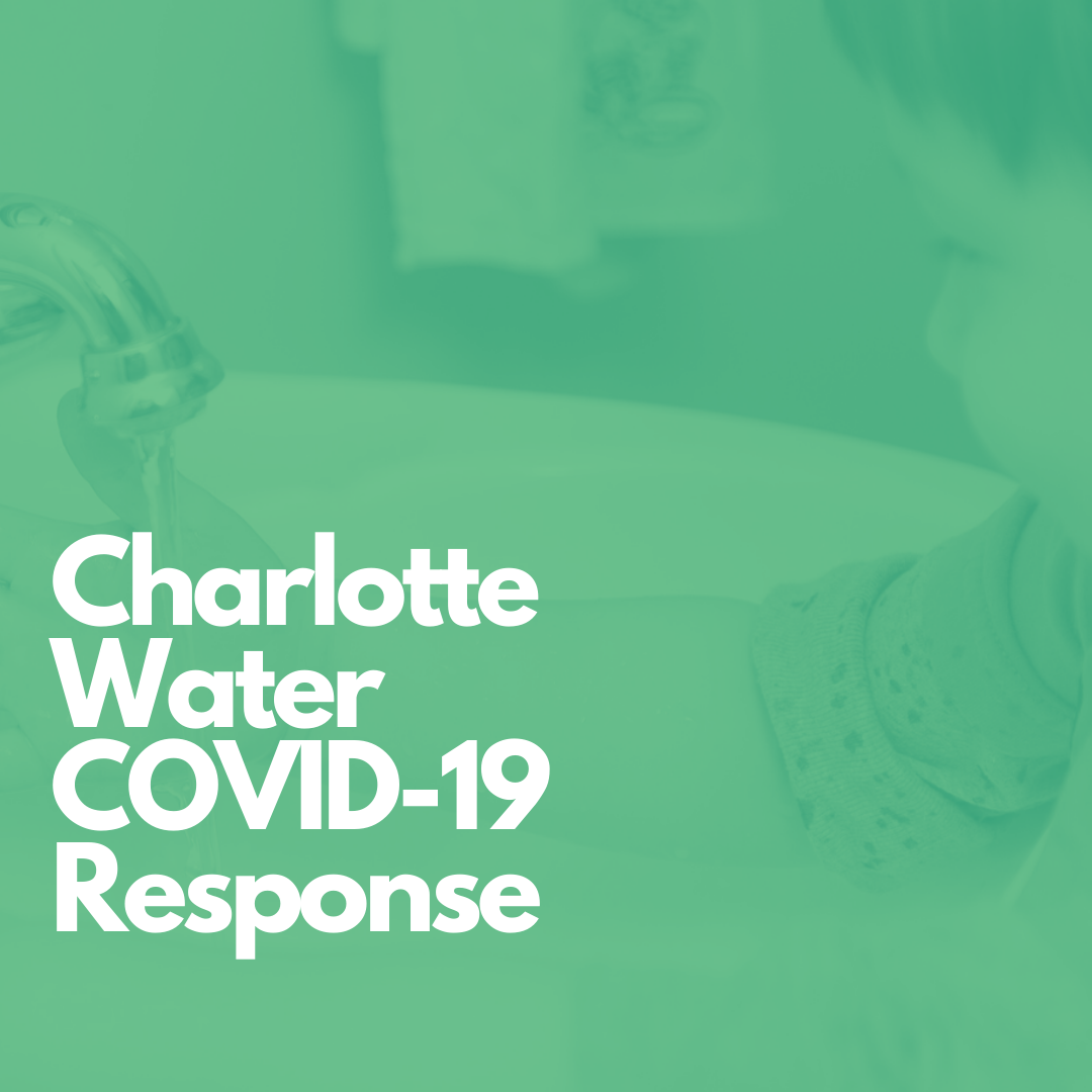 square green report cover page with white font title, Charlotte Water Covid-19 Response