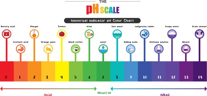 Colorful diagram titled The Ph Scale using colorful fonts with subtitle in black rectangle with white font, Universal Indicator ph Color Chart. A rainbow spectrum of colors from red to purple span from acid to neutral to alkali on a scale of 0 to 14.