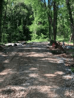 grey dirt, tree-lined road