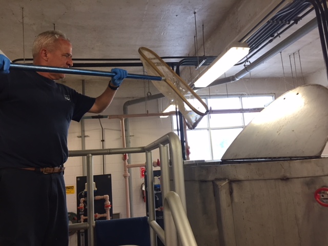 inside a water treatment facility, a utility technician wearing black t-shirt and blue gloves holds a bright blue pole with large whie oval net over the opening of a large round vat