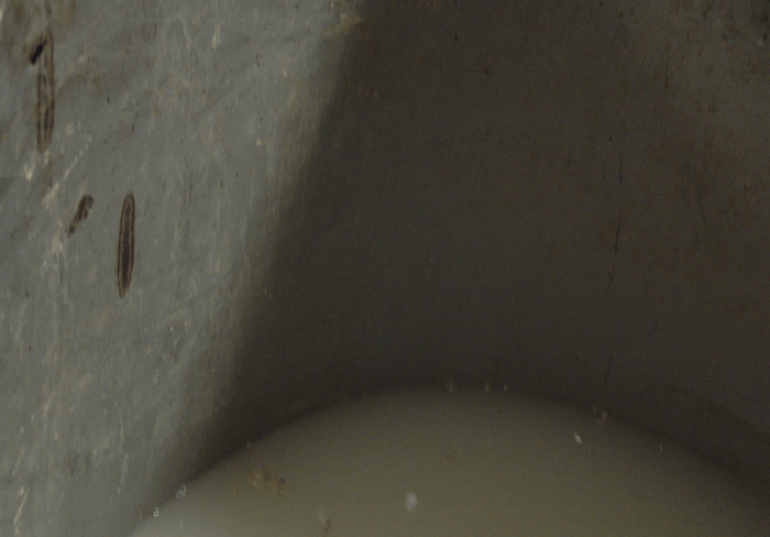 close-up of milky liquid inside a stainless steel vat