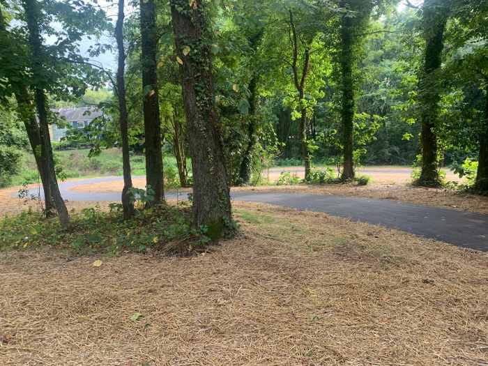 rural, tree-lined paved road with straw littered area alongside indicating recently completed utility company excavation
