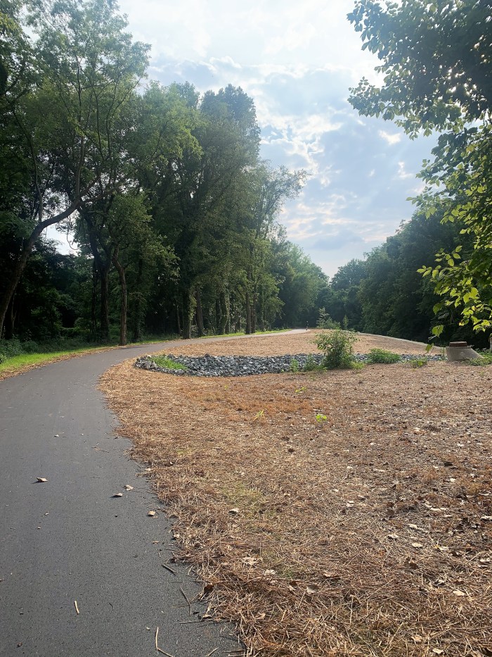 rural tree-lined paved street with brown grass alongside features a rock-lined water runoff culvert to divert water into a drainpipe
