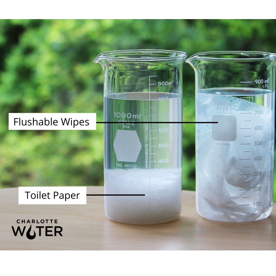 2 measured clear glass beakers one filled with water and dissolved white toilet paper and the other filled with water and undissolved white wipes, also appearing are 2 white fields with black font indicating Toilet Paper and Flushable Wipes and Charlotte Water's logo on black font