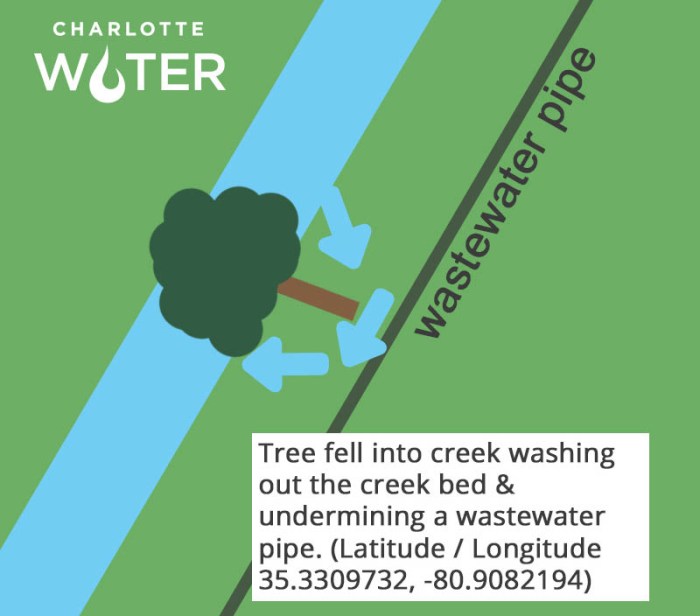 Slide with green background indicating grass and trees and a thick blue line cutting across it on a slant indicating a creek and parallel to that is a grey line indicating a pipe. In black font in between the creek and the pipe with an arrow and lettering 50FT. Also in between the creek and pipe is a graphic of a tree with blue arrows curving around it. A white box with black border and black font lettering appears at bottom of slide, Three feel into creek undermining creek bed and a wastewater pipe . Latitude & Longitude points are listed.