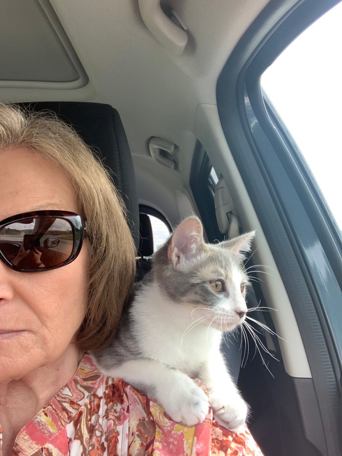 Selfie of woman driving car with white and grey cat on her shoulder