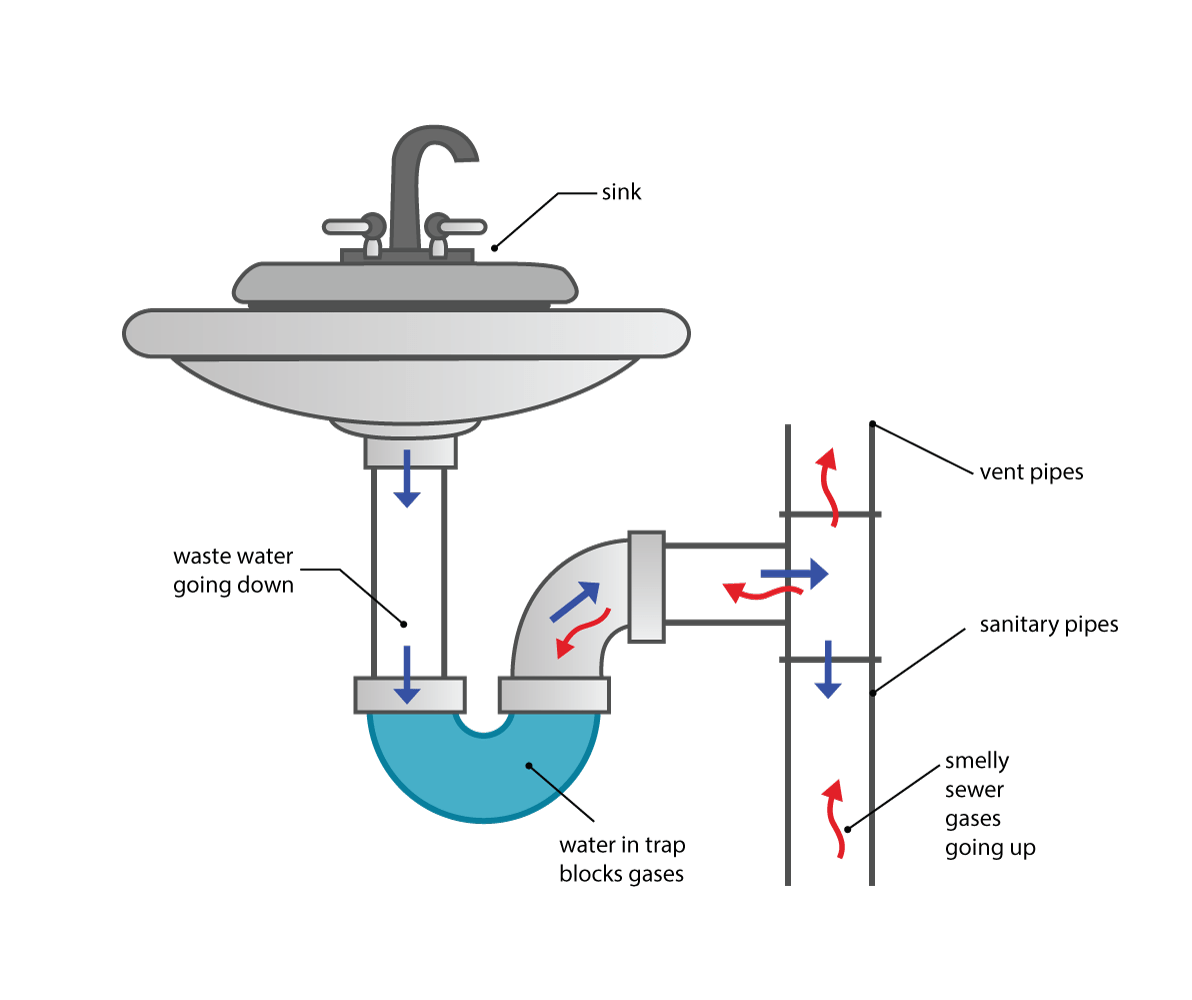 Diagram of a grey sink and faucet with white background depicts how or if a foul odor outside may be wastewater related. Drain pipes are drawn below the sink basin, use of blue downward arrows illustrates the flow of water from the sink's drain down to the rounded neck below, know as the trap. Trap is colored blue to represent water in it. The pipe then bends back upwards and then straightens out in a horizontal section before it connects to a vertical pipe. Blue arrows continue past the trap and into the vertical pipe falling downwards and heading towards the sewer. Red arrows appear pointing upwards in the vertical pipe and moving upstream against the draining water back into the horizontal pipe, getting stopped by the water in the trap. Along the route of the sink to drain to vertical pipe, indicator words appear in black font: sink, waste water going down, water in trap blocks gases, vent pipes, sanitary pipes, smelly sewer gases going up