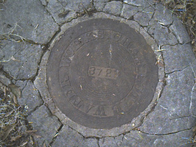 Cast iron, round rust-colored brown manhole cover with the words Charlotte Water Works and the number 372 imprinted on it along with circular lines; the cover is surrounded with a grey, concrete collar and brownish grass.