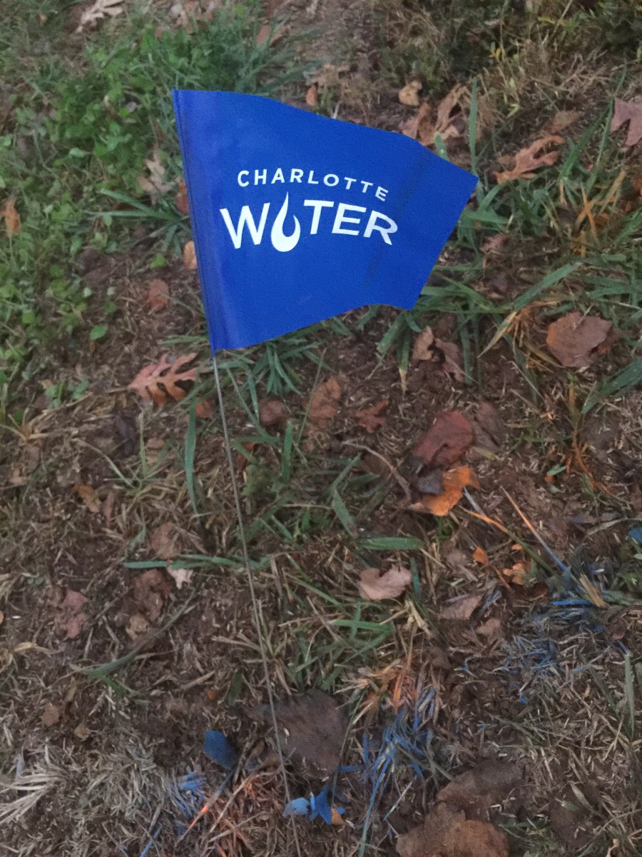 Small blue flag with Charlotte water logo marks a water line spraypainted blue on grass