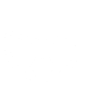 white ADA compliant logo transparent background