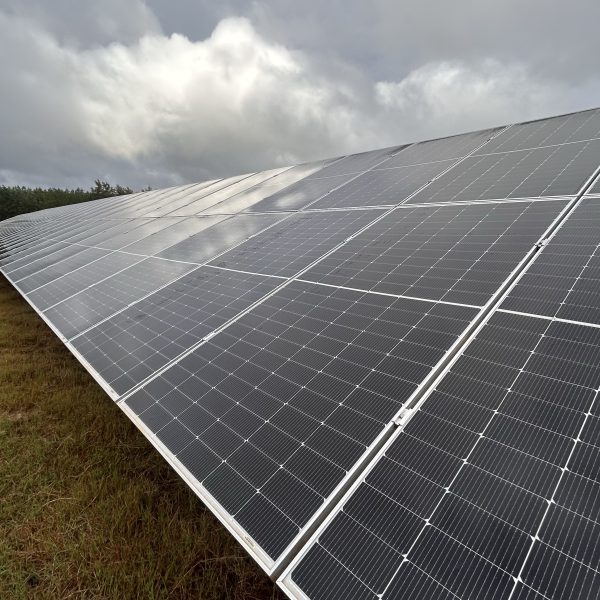Close up photo of a row of solar panels
