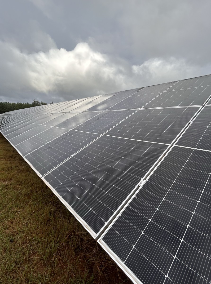 Close up photo of a row of solar panels